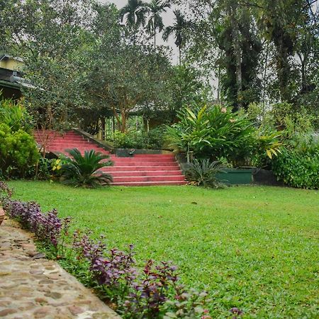 Blue Magpie Lodge Sinharaja Kudawe Экстерьер фото