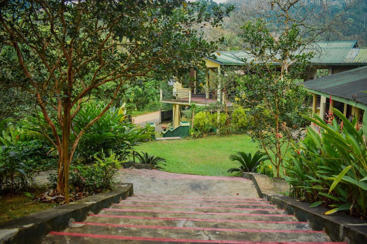 Blue Magpie Lodge Sinharaja Kudawe Экстерьер фото